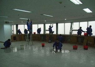 專業地毯與建筑物清潔服務 打造健康與舒適的室內環境