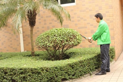 廠企保潔服務(wù)，專業(yè)清潔解決方案——聚焦廣州番禺清潔公司